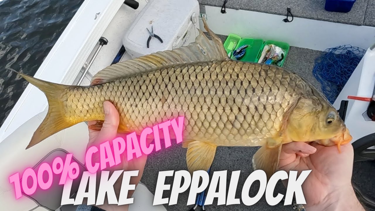 Fishing Lake Eppalock at 100 Capacity YouTube