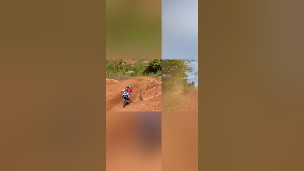 Club mole creek mx YouTube