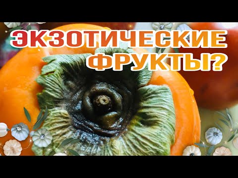 ЭКЗОТИЧЕСКИЕ ФРУКТЫ В КОРЕЕ? | Какие фрукты есть в Корее осенью