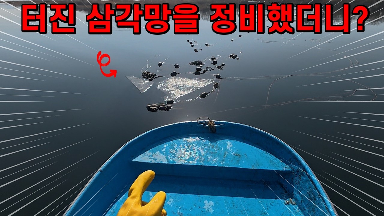 겨울 동안 엉망이 돼서 터져버린 80만 원짜리 삼각망을 정비해서 다시 설치했더니? 상상이상입니다!