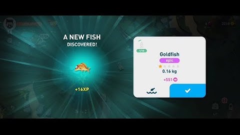 Creatures of the Deep - Goldfish + level up