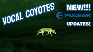 THERMAL COYOTE HUNTING in the TIMBER with PULSAR XL60 (NEW COLOR PALETTE!!!)