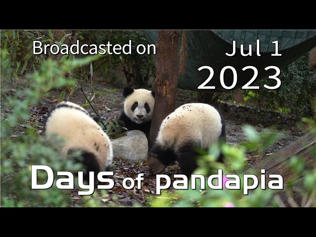 2025/07/23注文分(*」´□`)」f.pandaさんの専用だよー！ 20230701 Broadcast Top Highlights 05 - YouTube