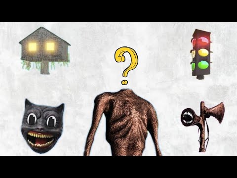 WRONG HEADS TRAFFIC
