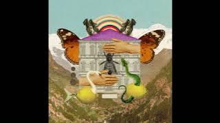 Mike Rauss & Amit Benita - 'Butterflies'