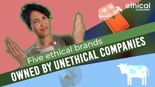 Five ethical brands owned by unethical companies screenshot 4