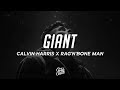 Calvin Harris, Rag&#39;n&#39;Bone Man - Giant (Lyrics)