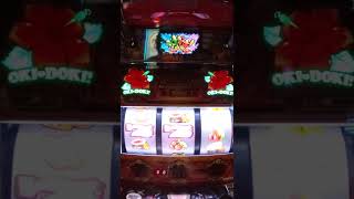 沖ドキ Duo ハイビスカス葉っぱだけ点滅 沖ドキ ハイビスカス ムービーexpress
