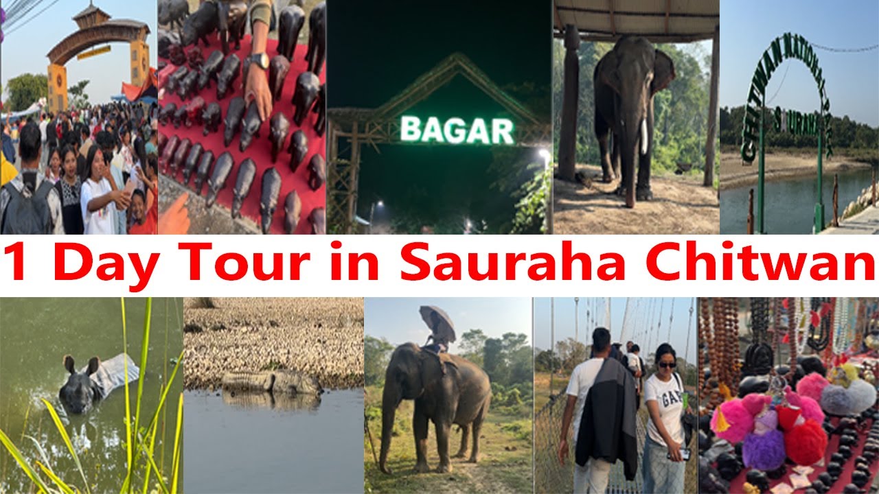 1 Day Tour in Sauraha Chitwan Canoeing & jungle Safari Chitwan