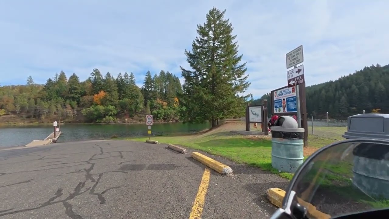 Honda's in the wild !