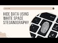 How to Hide Data Using Whitespace Steganography with Snow Tool