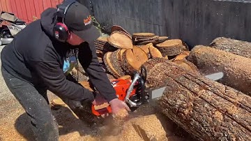 Donny walkers chainsaws testing echo 7310