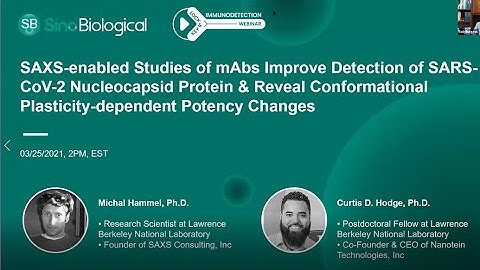 Studies of mAbs improve detection of SARS-CoV-2 nucleocapsid protein