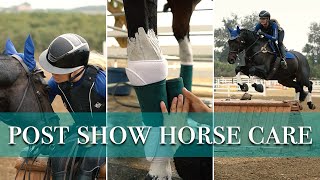 AfterShow HORSE CARE ROUTINE + Schooling Show for my RESCUE Thoroughbred | ZL Equestrian