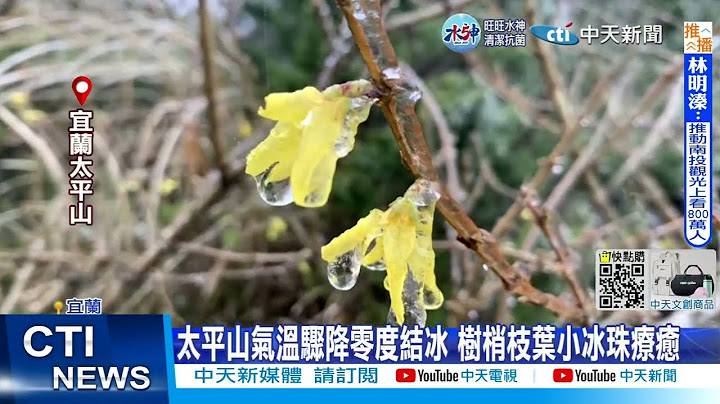 【每日必看】太平山气温骤降零度结冰 树梢枝叶小冰珠疗愈 20230226 @CtiNews - 天天要闻