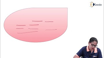 DVMRP ( Distance Vector Multicast Routing Protocol )