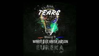 Winky D ft Anita Jaxson-Tears