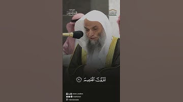سورة التكاثر تلاوة الشيخ #فيصل_غزاوي من صلاة المغرب ١٥-١-١٤٤٦هـ