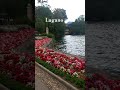 Lugano 🩷 Magnifico passeggiare qui! #lugano #flaneur #walking #love #travel #vlog #poetry #poesia