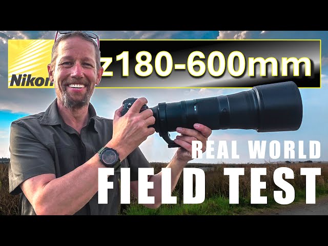 Nikkor Z 180–600mm Field Test - Real-World Impressions for Bird