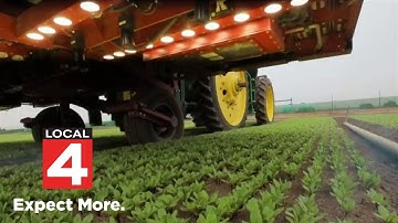 Detroit-made AI machine kills uses lasers to kill weeds too small for human hands to grab