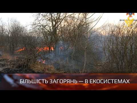 Кожна друга пожежа на Прикарпатті &mdash; руками людей