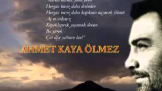 HALİT BİLGİÇ AHMET KAYA ÖLMEZ