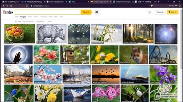 10 Minute Tip: Reverse Image Searching #1
