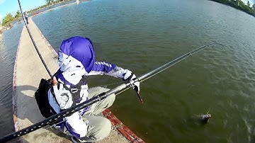 Câu Vược Đầm Tân Thành-Dương Kinh-TP Hải Phòng