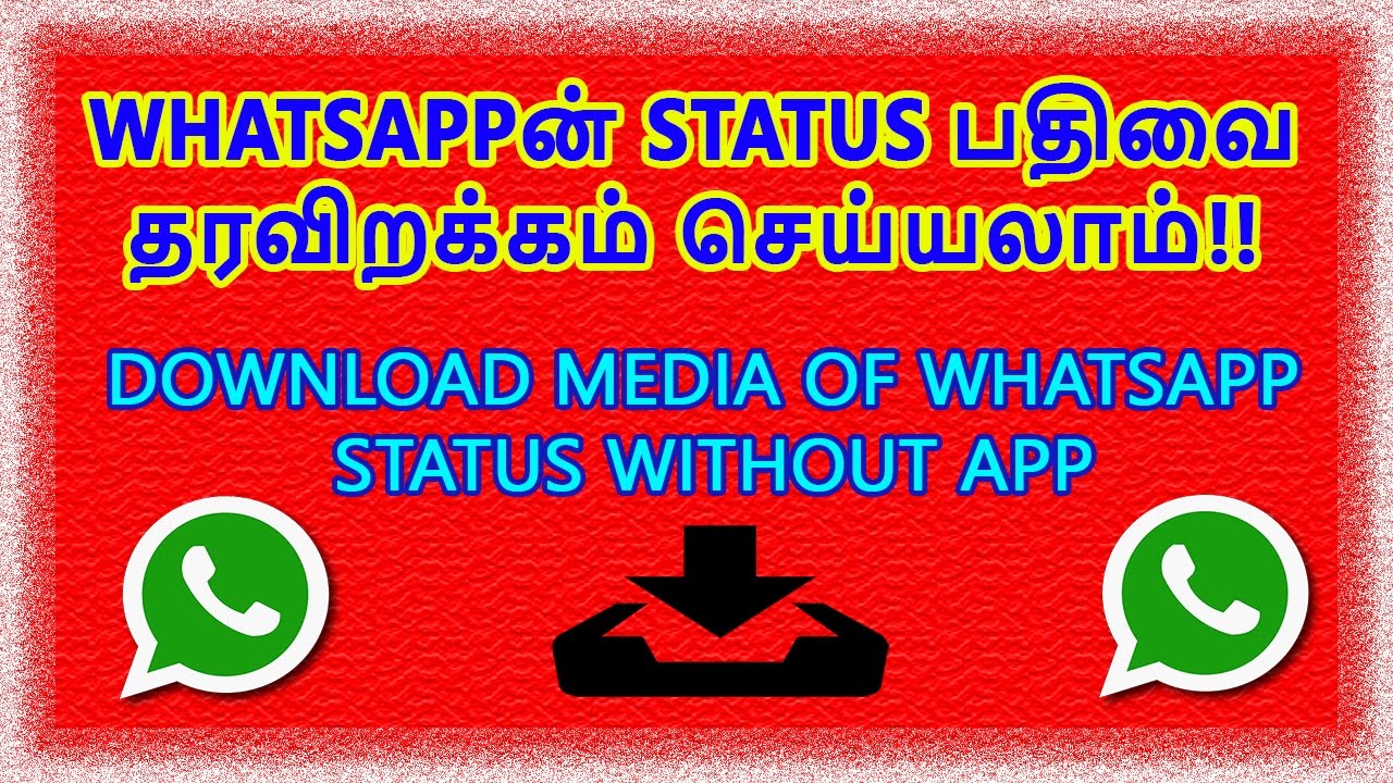 How to download whatsapp status media - YouTube
