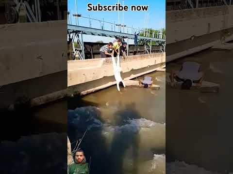 Quality of Friendship🥰#short#youtubeshorts#viral#viralvideo