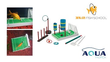 Aqua Tropica - R2 Fishschool Fisch Training Kit