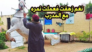 عم محمد جاى وناوى للخيل المره دى _ طلع الخيل كله 😲😲