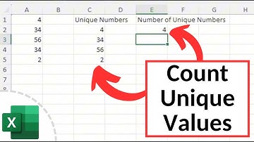 How to Count Unique Values in Excel | How to Use the COUNTA and UNIQUE Functions