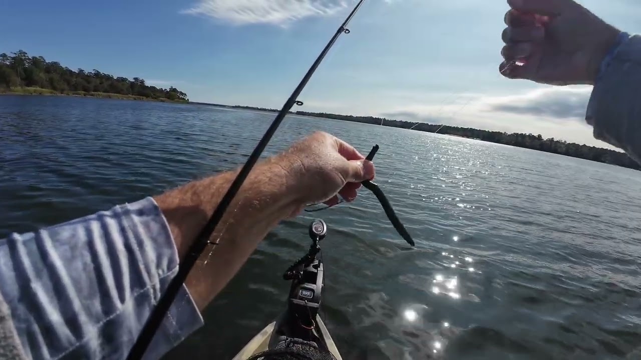 Fall Bass Fishing Weightless Worms