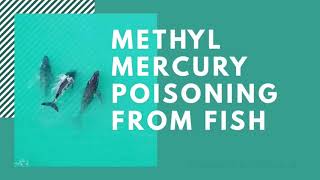 Toxicokinetics, Toxicity, & Symptoms in Methylmercury Poisoning [ENG SUB, 1080P]