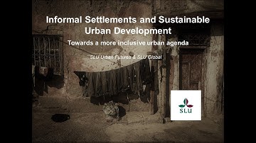 Informal Settlements and Sustainable Urban Development: Towards a more inclusive urban agenda