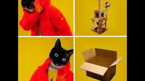 COMP 2150 A01 Lecture 11 (February 16, 2023)