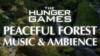 Hunger Games Music & Ambience | Forests of District 12 screenshot 5