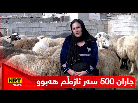 هاوکاری نەکردنیان لەلایەن حکومەتی ماوەبەسەرچوو ژمارەی ئاژەڵداری لە ئیدارەی راپەڕین کەمکردووەتەوە