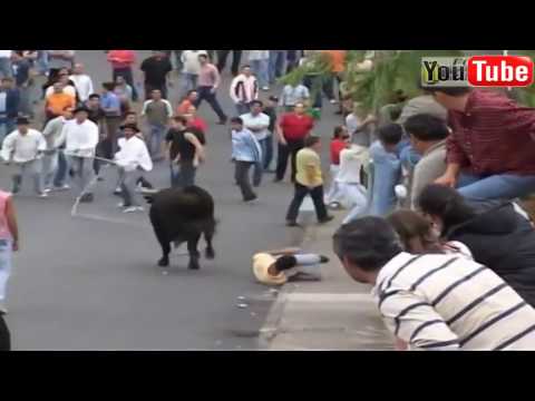 Serem Banget Vestival Banteng