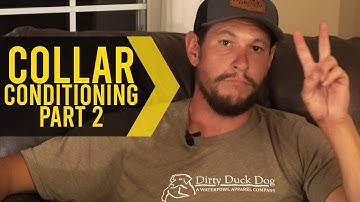 Collar Conditioning Part 2 - Duck Dog Training