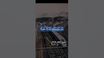 سورة الانفال الاية 14-17