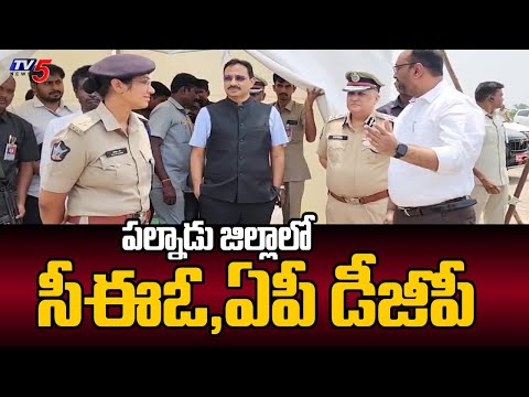 CEO Mukesh Kumar Meena and AP DGP Harish Kumar Gupta Visited Palnadu District | Tv5 News - TV5NEWS