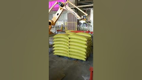 Robotic bag palletizer