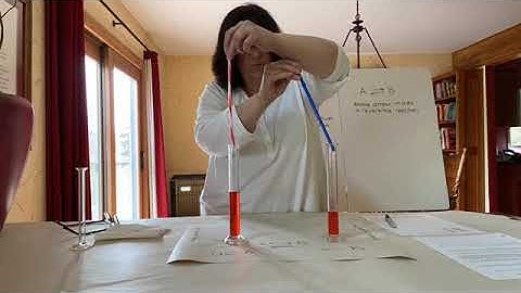 Honors Lab equilibrium simulation