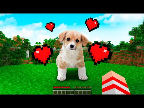 ENCONTREI O CACHORRO MAIS FOFO DO MINECRAFT !