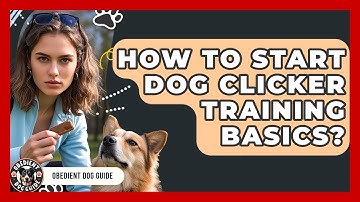 How To Start Dog Clicker Training Basics? - Obedient Dog Guide