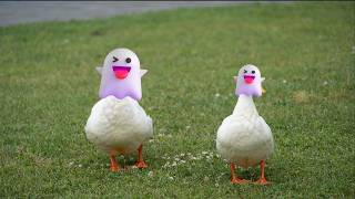 QUACK QUACK HUNTERS