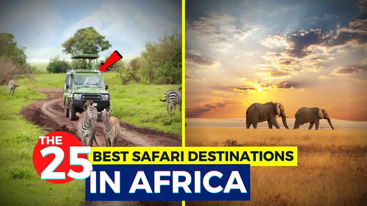 The 25 Best Safari Destinations In Africa YouTube The 25 Best Safari Destinations In Africa YouTube